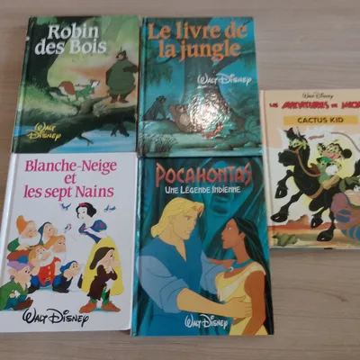 lot de 5 livres Disney ((3)